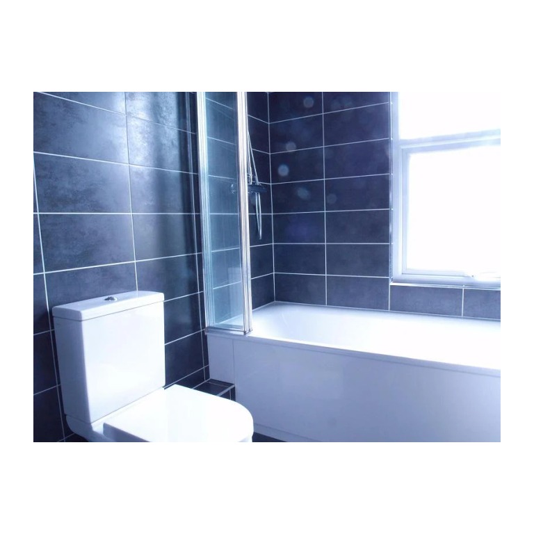 Ealing Plumber